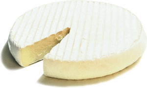 Schaf-Brie-300x179